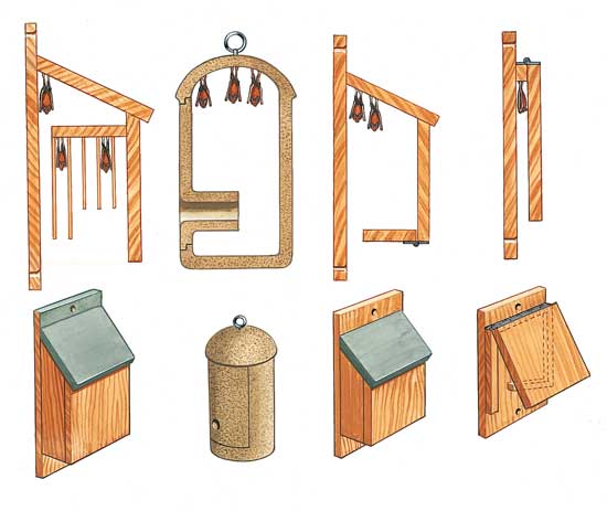 Bat roosting boxes can be of different designs to suit different species.